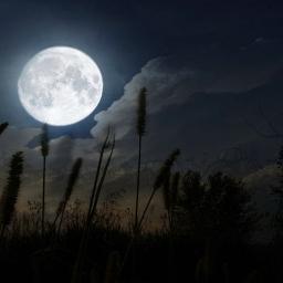Огромная Луна над лесом